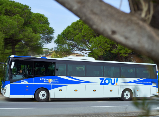bus_zou.jpg