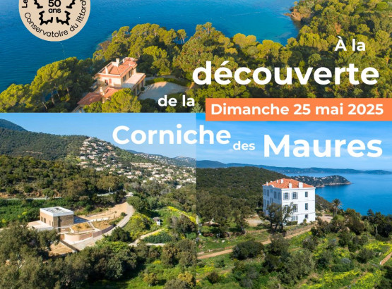 carre-a-la-decouverte-de-la-corniche-des-maures-2025.jpg
