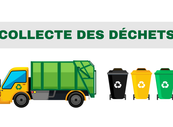 collecte-des-dechets.png