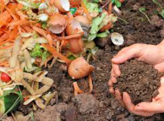 compost.jpg