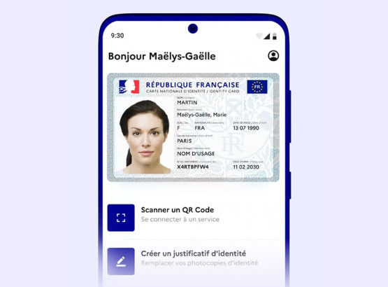 image-d-illustration-de-l-application-france-identite-1411940.jpg