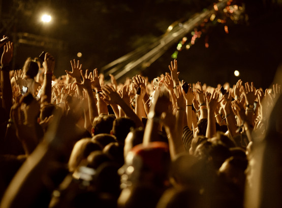large-group-fans-with-arms-raised-having-fun-music-concert-night.jpg