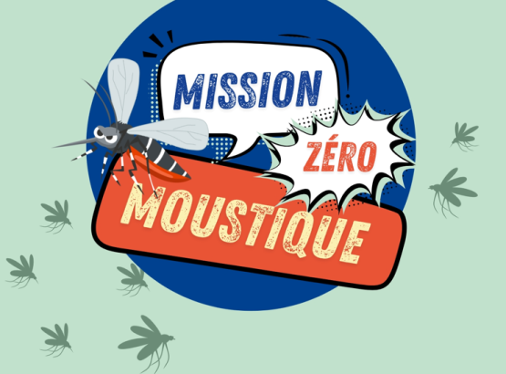 mission_loustique.png
