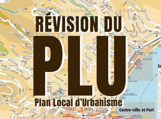 plu.jpg