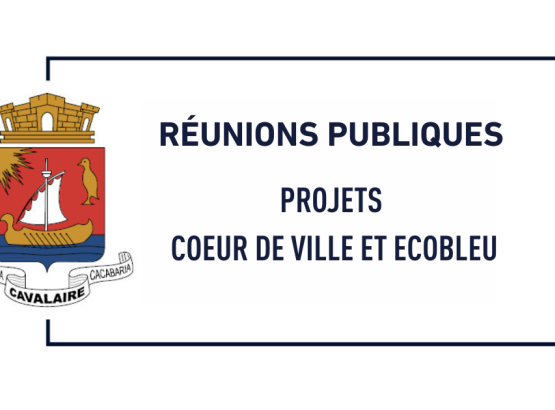 reunions_publiques_projets_coeur_de_ville_et_ecobleu.png