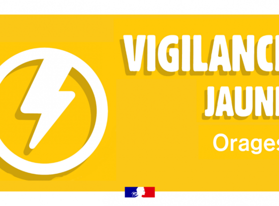 vigilance-meteo-le-morbihan-place-en-vigilance-jaune-orage-jeudi-24-aout-de-00h-a-12h.jpeg