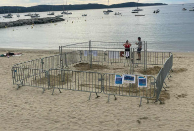 Barrière tortue.jpg Barrière tortue.jpg