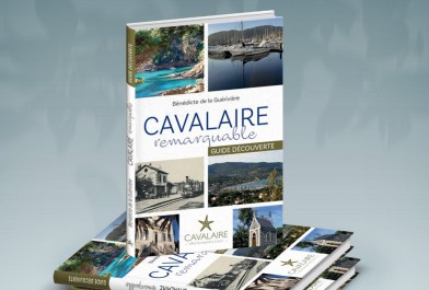 capture_livre_senad_couv.jpg