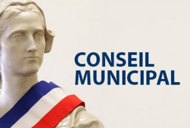 conseil_municipal_marianne.jpg