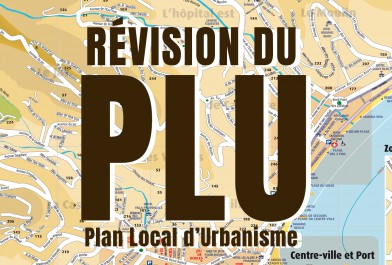 plu.jpg