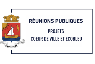 reunions_publiques_projets_coeur_de_ville_et_ecobleu.png