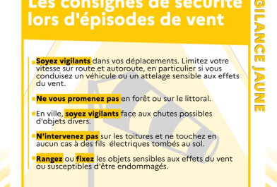 vigilance_jaune_2.jpg vigilance_jaune_2.jpg