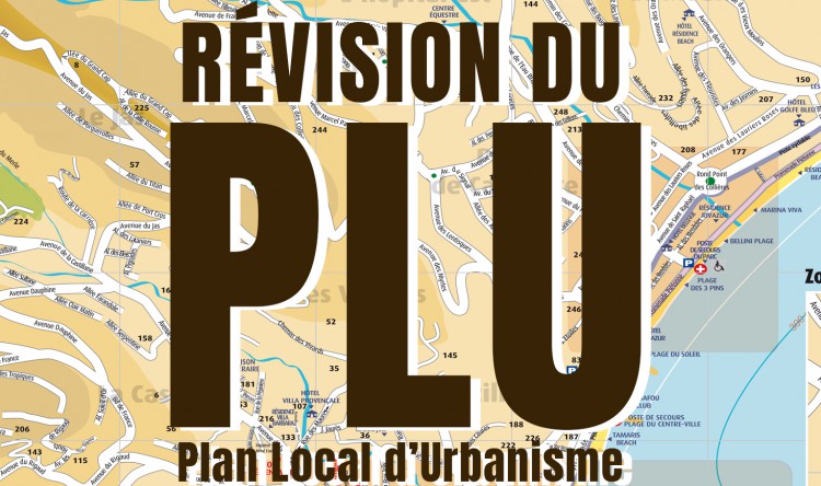 plu.jpg